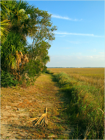 Pathway